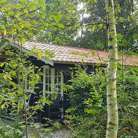 Zizania Villa Noord-Sleen Luaran gambar